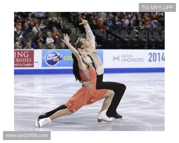 聚焦新浪体育深度呈现全球赛事热点与人物故事全景观察专题集锦